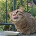 じゅさぶろう・・・だって・・