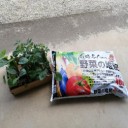 夏野菜の苗を植える･･･