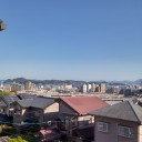 ドントギブアップ（血液検査）（月曜日）