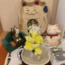 お花に目覚めた？