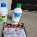 柿の摘果作業と農薬散布！
