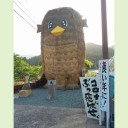星に？・・いえいえ、アマビエ様に！