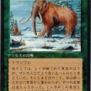これが、ウォーマンモス・・！トランプルだ