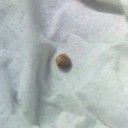 「にょり」の生まれ変わり？