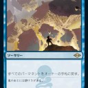 モダホラ２：　今回の全除去枠　他