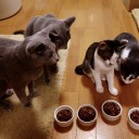 お誕生日おめでとう、あーた。