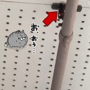 帰って