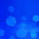 他の人とも交流がとりやすくなった