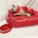 カード入れ ルイヴィトン iphone12pro ケース シュプリーム 犬のベッド 猫犬用ペット食器