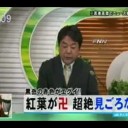 こういう企画