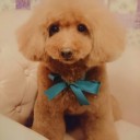 今日は七夕さま・・・会いたいよ～すまっぷぅ～
