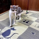 意志が弱い(^^ゞ