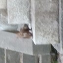 ヘミシンク日記・暗黒編206