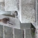 ヘミシンク日記・暗黒編206