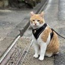 しんらい・・・