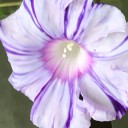 今日は一日家にいました。