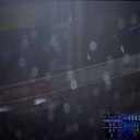 謎の鳥襲来からの幸運ならず…