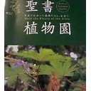 むかしは・・・・