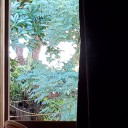 緑を眺めながら