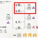 当たるも字画　当たらぬも運勢