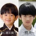 たれめとつりめ・・・