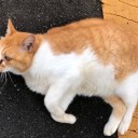 グータラデイ！