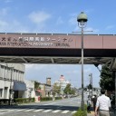 ポメ子　心臓手術その1