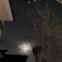 月