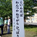 ネイティブは