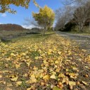 岩手紅葉　館が森アーク牧場