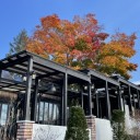 岩手紅葉　館が森アーク牧場