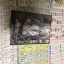 賞品のセットブースターを全部開けたら