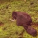 この・・・・