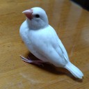 福が来ますように。
