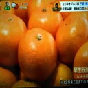 極あま凸凹みかん！