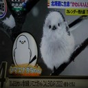来年カレンダー売れ筋は？