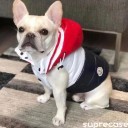 シャネル アイフォン13proケース ショルダーチェーン付き モンクレール 犬の服 ダウンコート