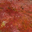 紅葉狩り♪