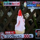 西尾 まずい！？爆盛りジェラート