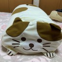 見せる収納・・・ネコの布団袋