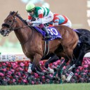 競馬　有馬記念とか