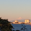 謹賀新年