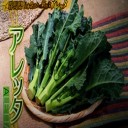 全国的に珍しい激レア野菜