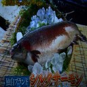 究極の魚！シルクサーモン