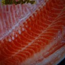 究極の魚！シルクサーモン