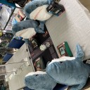 金曜日