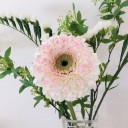 お花
