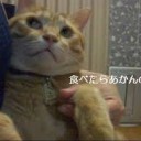 ８８と６６・・・・