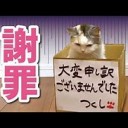 さいきんのおきにいり・・・・