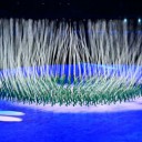 コロナ禍の北京冬季オリンピック開会式